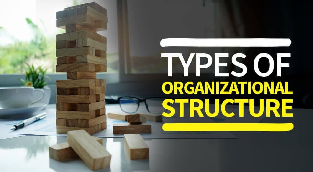 组织结构类型