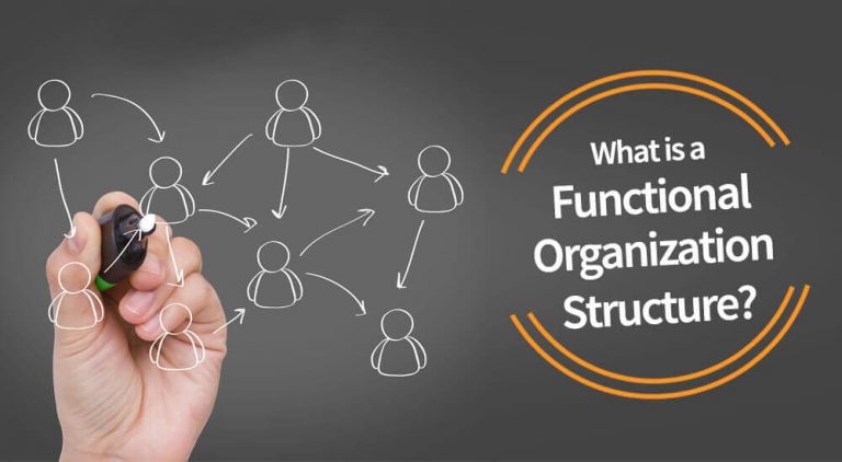 什么是功能性组织结构？
